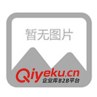 09年春夏休閑情侶裝，運動時尚裝，征全國各地批發(fā)商